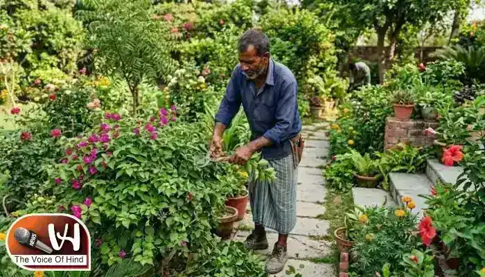बारिश में घर को ऐसे रखें सुरक्षित, Follow Tips