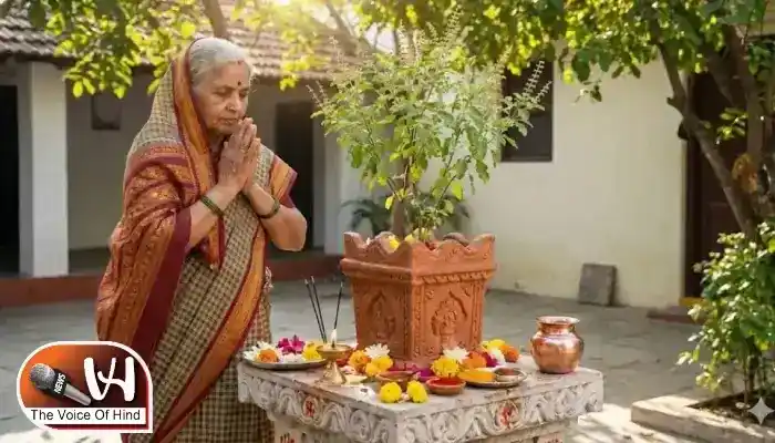 ये पौधे बदल देंगे आपके घर-ऑफिस की रौनक और किस्मत