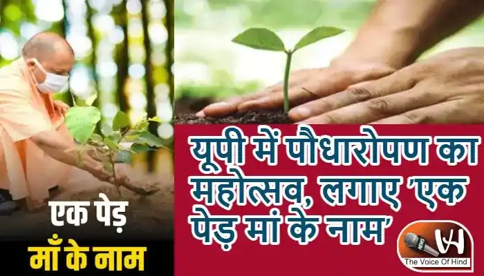 यूपी में पौधारोपण का महोत्सव, लगाए 'एक पेड़ मां के नाम'