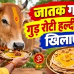 राशिफल (08-10-2026) : जातक गाय को गुड़ रोटी हल्दी लगाकर खिलाए