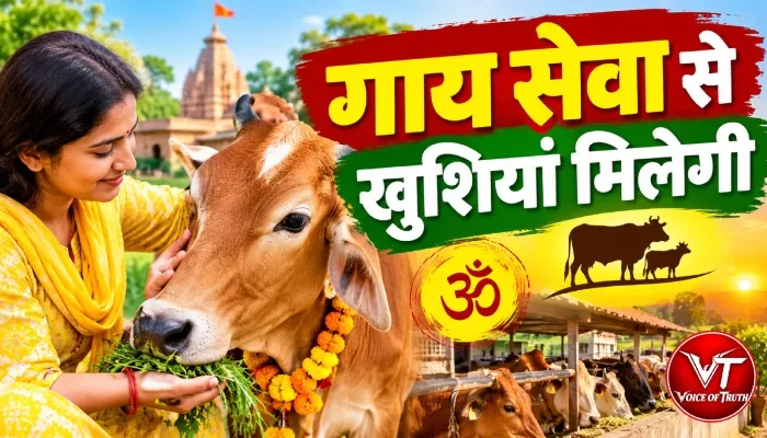 राशिफल (24-10-2026) : गाय सेवा से खुशियां मिलेगी 1 राशिफल (24-10-2026) : गाय सेवा से खुशियां मिलेगी